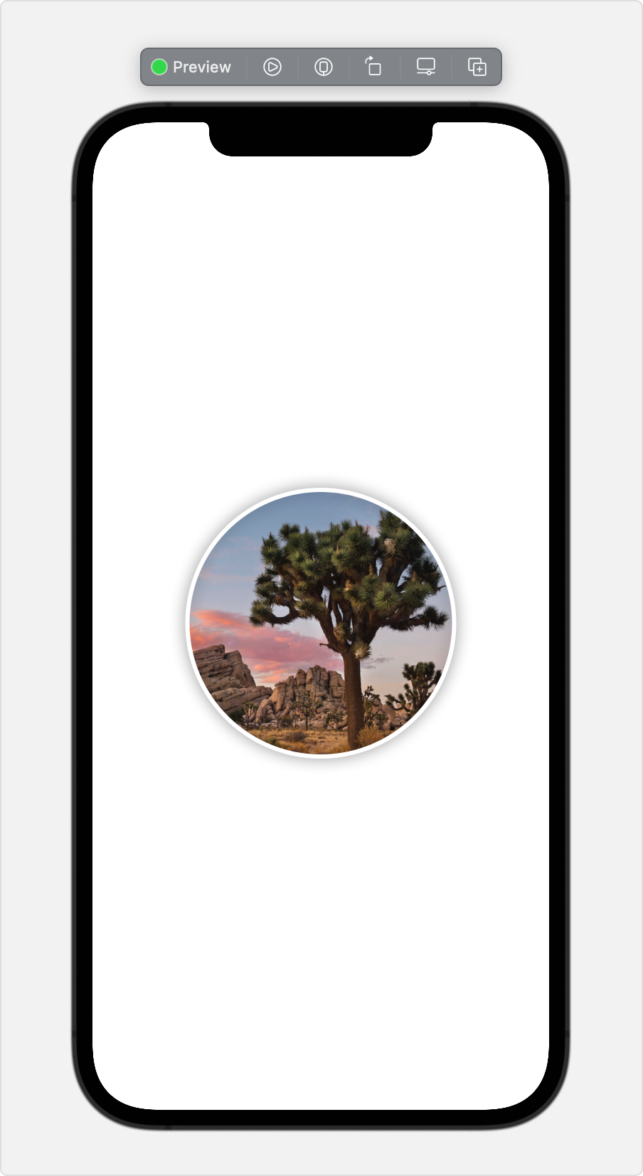 A screenshot of the Xcode canvas previewing a circular image on an
