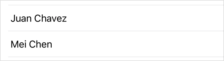 A screenshot of a list view, showing a vertical list with two text entries: