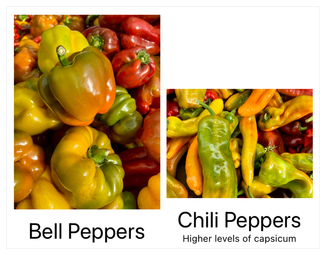 Two stacks that each contain an image and a title beneath the image, aligned on the bottoms of the stacks. The left stack contains an image in portrait mode with the title Bell Peppers beneath it. The right stack contains an image in landscape mode with the title Chili Peppers beneath it, and an additional caption that says Higher levels of capsicum.