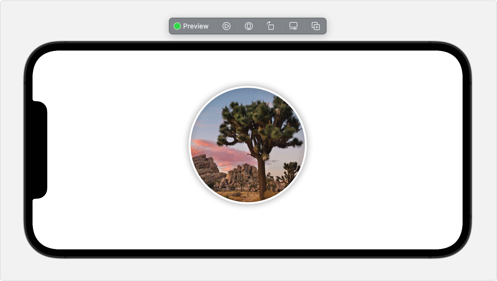 A screenshot of the Xcode canvas previewing a circular image on an