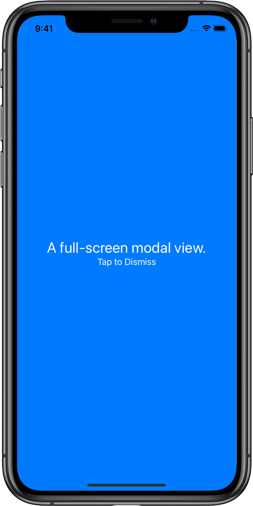 A full-screen modal view with the text A full-screen modal view