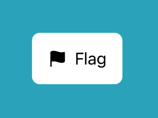 A screenshot of a flag icon and the word flag inside a rectangle with