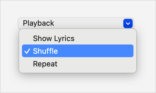 A screenshot of a Playback menu in macOS showing three menu items with the labels Repeat, Shuffle, and Show Lyrics. The shuffle item has a checkmark to its left, while the other two items have a blank space to their left.